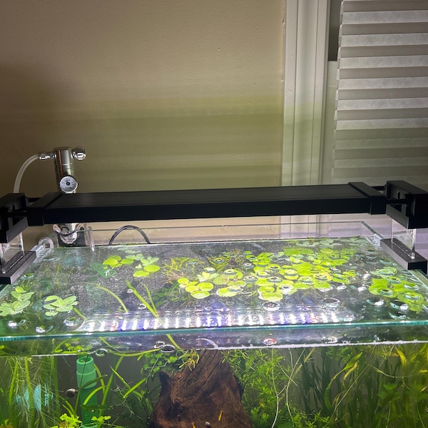 Aquaneat LED Light Riser, Attractive Stable Elevated Stand, Quality LED ...