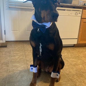 Audley added a photo of their purchase