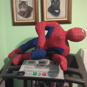 Kelly added a photo of their purchase