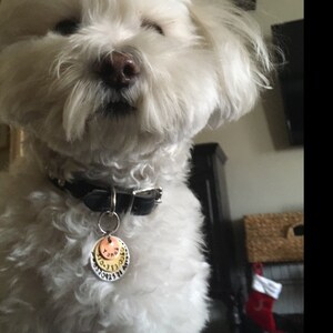 Cornelia added a photo of their purchase