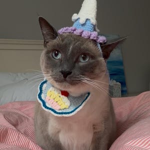 Brittany a ajouté une photo de son achat