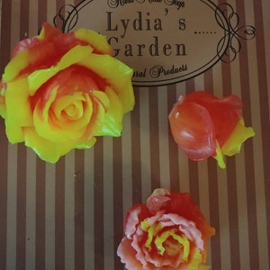 Lydia added a photo of their purchase