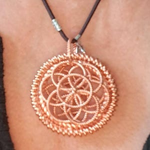 Colette added a photo of their purchase
