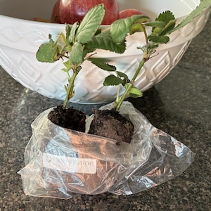 John added a photo of their purchase