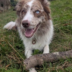 Lucy added a photo of their purchase