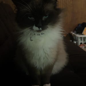 Lila ha añadido una foto de su compra