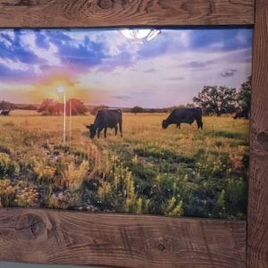 Pennie added a photo of their purchase