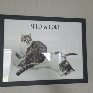 Jon heeft een foto van de aankoop toegevoegd