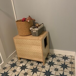 curio litter box