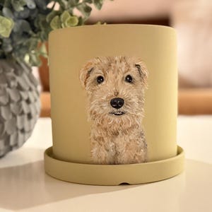 anniepaddington added a photo of their purchase