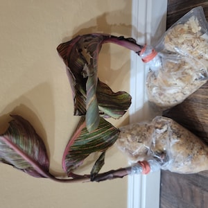 Frankie ha añadido una foto de su compra