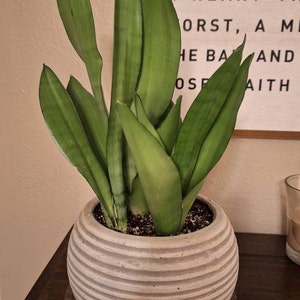 Kristin added a photo of their purchase