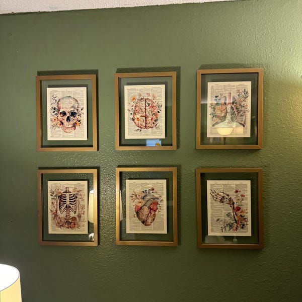 Anatomy Print Set 6 Medical Wall Art Anatomical Poster Home Decor Gifts ...