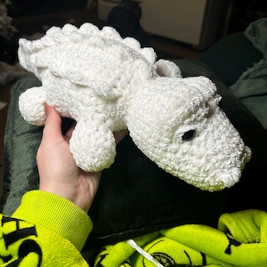 Shelby added a photo of their purchase