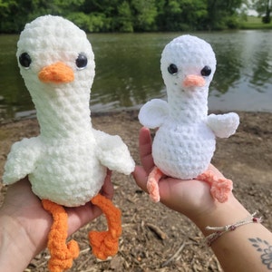 Kourtney heeft een foto van de aankoop toegevoegd