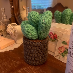 Diane added a photo of their purchase