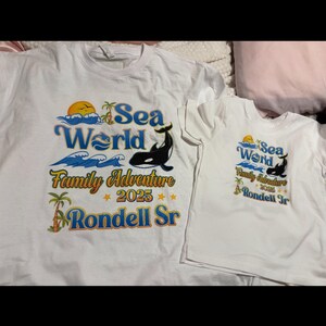 Disneyland Minnie Birthday Girl Shirt, Minnie Mouse Birthday Shirt, Disneyland Birthday Shirt, Birthday Girl Gift, Family Birthday Shirt