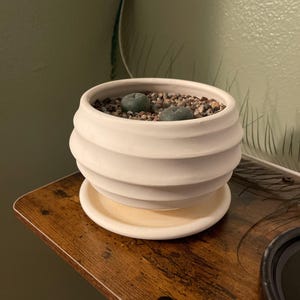 Rachel added a photo of their purchase