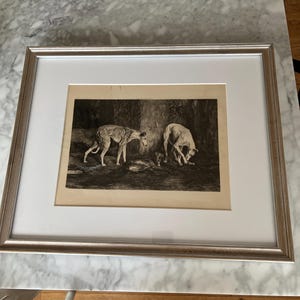 Natasha added a photo of their purchase