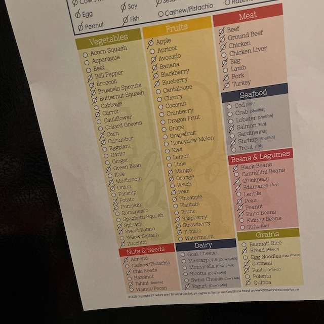 101 Food Checklist PDF Download for Baby Led Weaning From 101 Before One - Etsy Norway for 101 Foods Before One Checklist Free Printable
