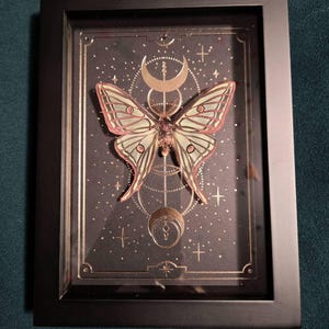 Naomi added a photo of their purchase