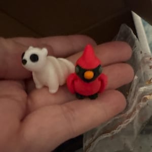 Patricia ha aggiunto una foto del proprio acquisto