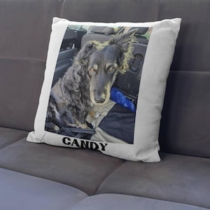 Sarah added a photo of their purchase