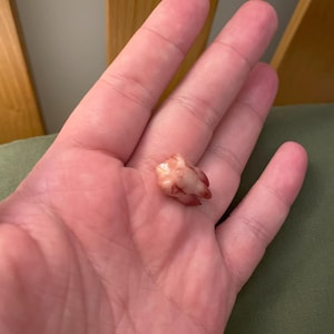 Lindsey added a photo of their purchase