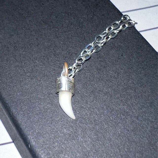 Custom Puppy Kitten Tooth Necklace Pet Memorial Necklace Dog Cat Memorial Jewelry Baby Tooth Jewelry Custom Tooth Jewelry Etsy