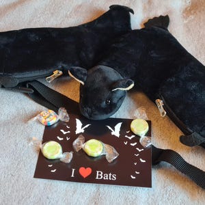 IngaLia added a photo of their purchase