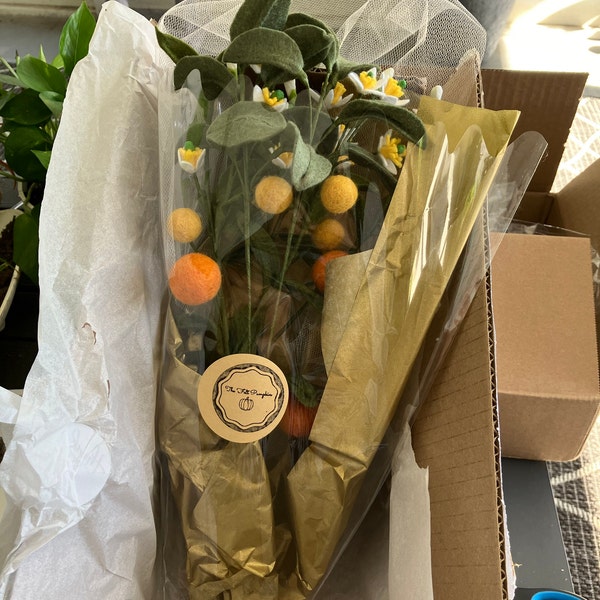 Felt Orange Stem, Orange Fruit Stem, Calamundin Stem, Orange Sprig ...