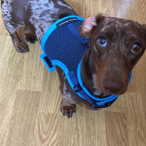 Linda added a photo of their purchase