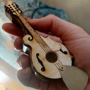 Guitar Banjo Mandolin Fiddle Bass Instrument Bird House Gifts - Etsy
