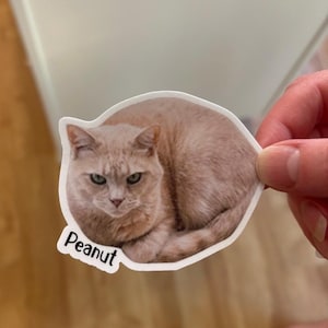 Kelsey added a photo of their purchase