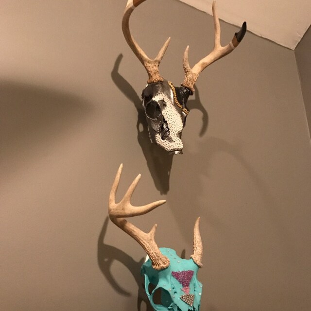 European Mount Skull Hanger, Deer Skull Wall Mount Hanger For Hanging Deer Head Pronghorn And Other Smaller Skulls Deer Skull Hangers European Deer Mount Hanger European Skull Mount Hanger