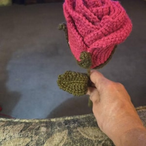 Laura added a photo of their purchase