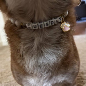 meg added a photo of their purchase
