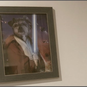 Spicy ha aggiunto una foto del proprio acquisto