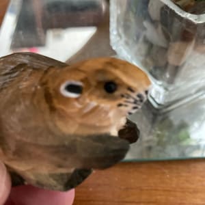 Leah added a photo of their purchase