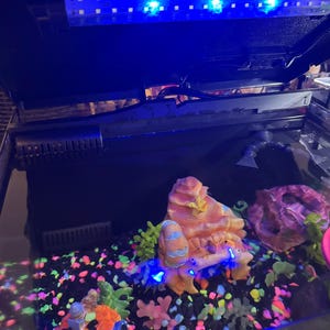 Holly added a photo of their purchase