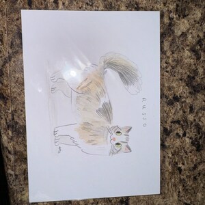 Sawyer added a photo of their purchase