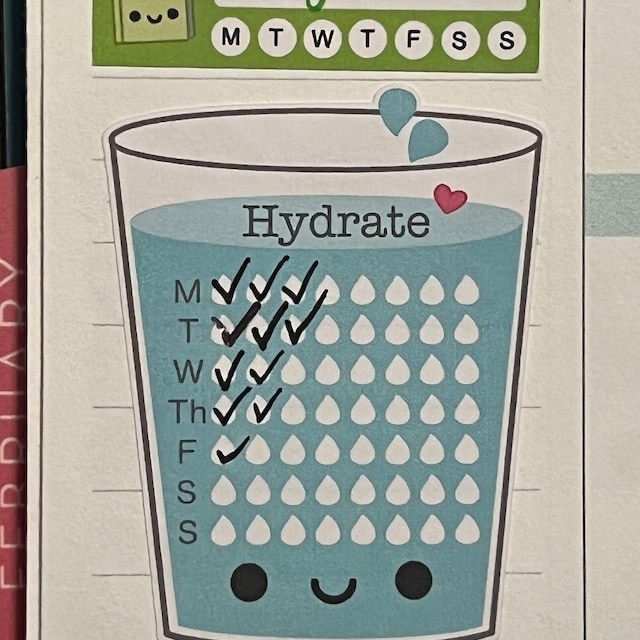 Hydration Daily Water Tracker Stickers - AQUA001 – Katnipp Studios