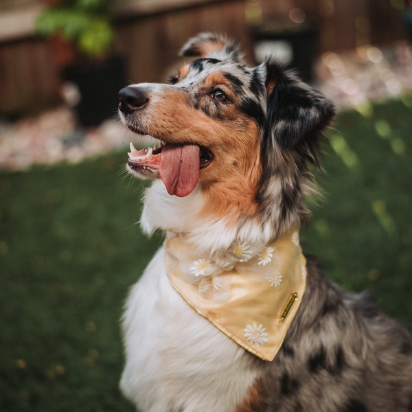 Puppachino Sprinkles Snap Closure Dog Bandana, Birthday Dog Bandana ...