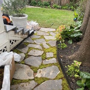 Lauren added a photo of their purchase