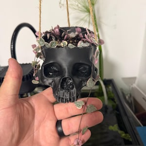 Gabe added a photo of their purchase