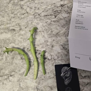 katlin added a photo of their purchase