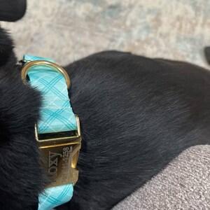 TMLCC added a photo of their purchase