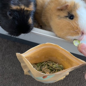 Lex added a photo of their purchase