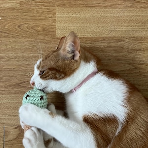 Daniella heeft een foto van de aankoop toegevoegd