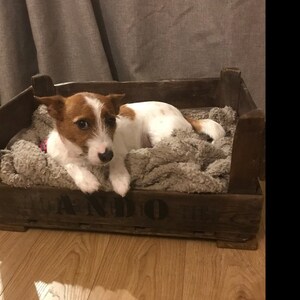 Julie added a photo of their purchase